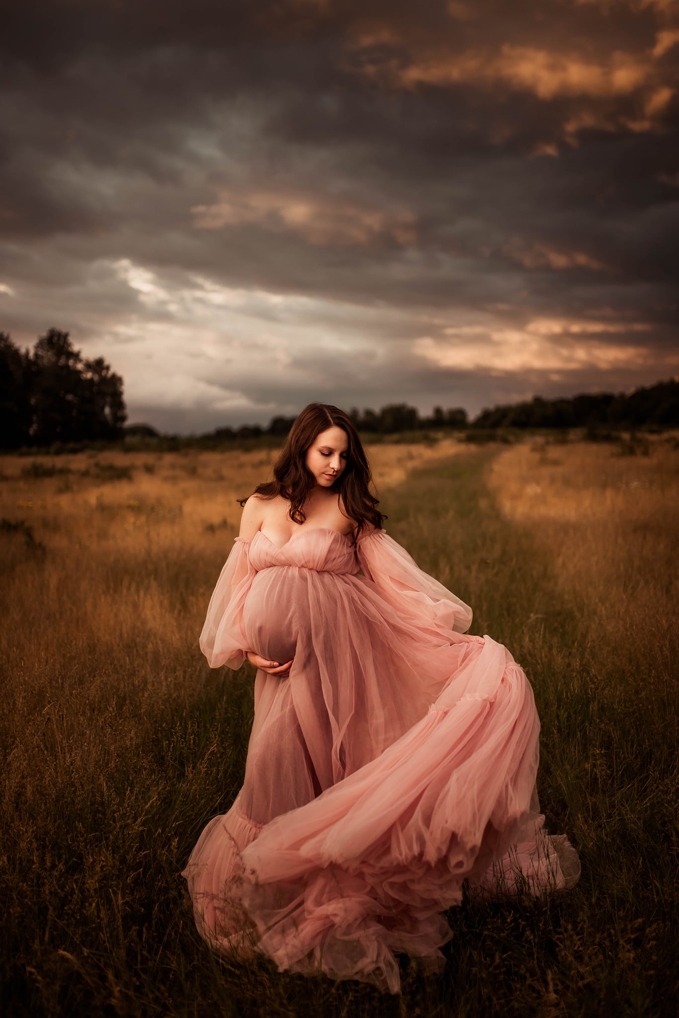 FOR HIRE / RENT tulle Maternity Photoshoot Event Dress " Florals" in Dusty Pink