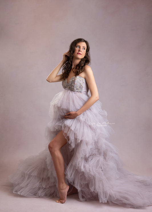 FOR HIRE / RENT tulle with embroidery Maternity Photoshoot Event Dress " Mirabel " in Gray , Silver , PurpleSilver Pearl