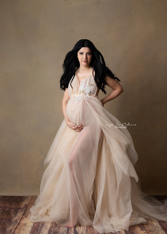 FOR HIRE / RENT elastic with embroidery from cream tulle dress photoshoot event maternity " Aurora"