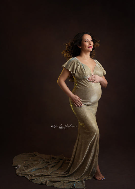 FOR HIRE / RENT sparkly elegant Maternity Photoshoot Event Dress " Moonlight "