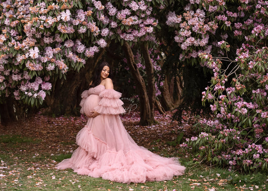 FOR HIRE / RENT tulle Maternity Photoshoot Event Dress " The Mistress" in Dusty Pink